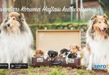 Hayvanları Koruma Haftası kutlu olsun Hayvanları Koruma Haftası kutlu olsun