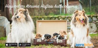 Hayvanları Koruma Haftası kutlu olsun Hayvanları Koruma Haftası kutlu olsun