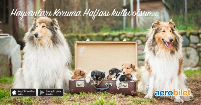 Hayvanları Koruma Haftası kutlu olsun