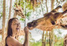 Birbirinden ilginç hayvanları doğal ortamlarında görebileceğiniz 9 şehir için ucuz uçak bileti Birbirinden ilginç hayvanları doğal ortamlarında görebileceğiniz 9 şehir