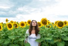 Ucuz uçak bileti ile ayçiçeği tarlaları içinden geçen bir masal: Trakya şehirleri Ayçiçeği tarlaları içinden geçen bir masal: Trakya şehirleri