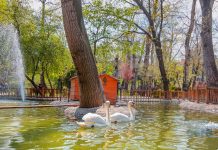 Ankara uçak bileti ile Ankara’nın ruhuna yolculuk