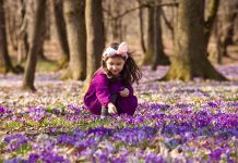Ucuz uçak bileti ile yalnızca Türkiye’de yetişen endemik bitki türleri Yalnızca Türkiye'de yetişen endemik bitki türleri