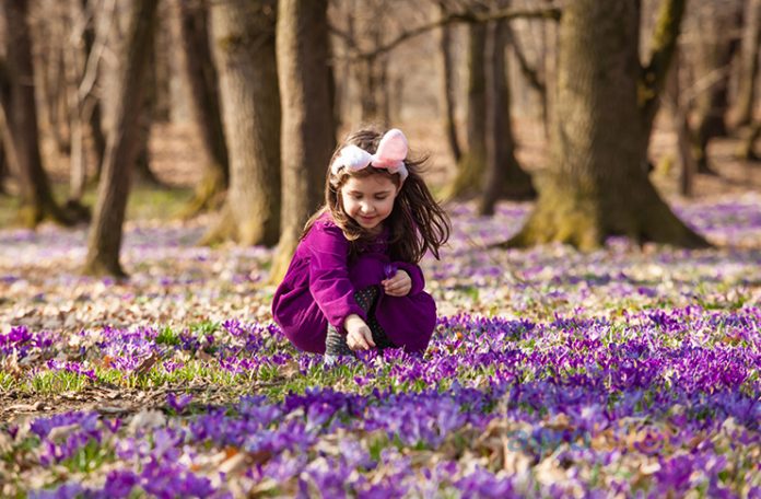 Yalnızca Türkiye'de yetişen endemik bitki türleri