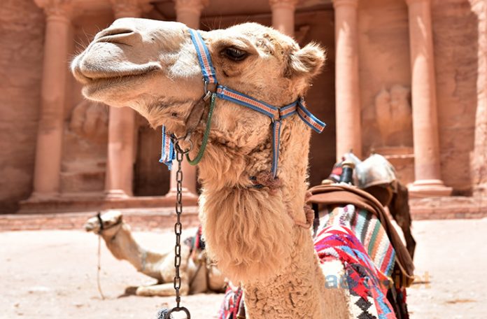 Petra uçak bileti ile gül renkli şehir Petra’yı keşif