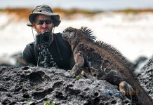 Ekvador uçak bileti ile Ekvator çizgisine vizesiz uçun Ekvador uçak bileti ile Ekvator çizgisine vizesiz uçun