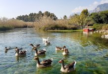 Muğla Uçak Bileti ile Muğla’nın Gizli Cenneti Akyaka’yı Görün Muğla Uçak Bileti ile Muğla’nın Gizli Cenneti Akyaka’yı Görün