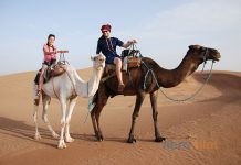 Cezayir Uçak Bileti İle Gizemli Bir Ülkeye Yolculuk Yapın Cezayir Uçak Bileti İle Gizemli Bir Ülkeye Yolculuk Yapın