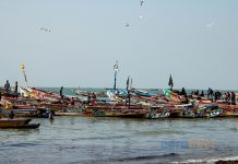 Banjul Uçak Bileti ile Afrika’nın Vahşi Yaşamının İçinde Unutulamaz Bir Macera Yaşayın Banjul Uçak Bileti ile Afrika’nın Vahşi Yaşamının İçinde Unutulamaz Bir Macera Yaşayın