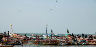 Banjul Uçak Bileti ile Afrika’nın Vahşi Yaşamının İçinde Unutulamaz Bir Macera Yaşayın Banjul Uçak Bileti ile Afrika’nın Vahşi Yaşamının İçinde Unutulamaz Bir Macera Yaşayın