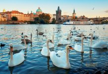 Prag Uçak Bileti ile En Etkileyici Avrupa Şehirlerinden Birini Gezin Prag Uçak Bileti ile En Etkileyici Avrupa Şehirlerinden Birini Gezin