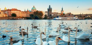 Prag Uçak Bileti ile En Etkileyici Avrupa Şehirlerinden Birini Gezin Prag Uçak Bileti ile En Etkileyici Avrupa Şehirlerinden Birini Gezin