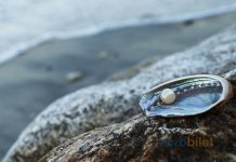 Bahreyn Uçak Bileti Alarak İnci ve Petrol Ülkesini Keşfe Çıkın Bahreyn Uçak Bileti Alarak İnci ve Petrol Ülkesini Keşfe Çıkın