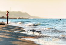 Anapa Uçak Bileti İle Karadeniz Kıyısında Tatilin Keyfini Yaşayın Anapa Uçak Bileti İle Karadeniz Kıyısında Tatilin Keyfini Yaşayın