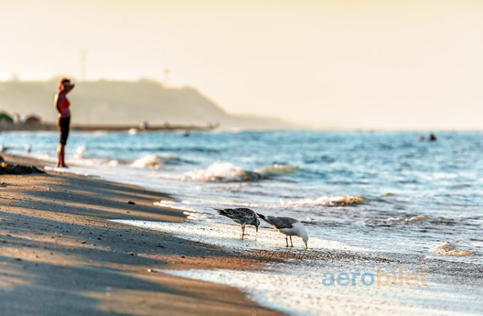 Anapa Uçak Bileti İle Karadeniz Kıyısında Tatilin Keyfini Yaşayın
