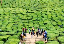 Malezya Uçak Bileti ile Yemyeşil Bir Cenneti Keşfe Çıkın Malezya Uçak Bileti ile Yemyeşil Bir Cenneti Keşfe Çıkın