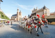 Polonya Uçak Bileti ile Benzersiz Güzellikte Şehirler Keşfedin Polonya Uçak Bileti ile Benzersiz Güzellikte Şehirler Keşfedin