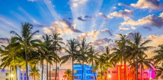 Miami Uçak Bileti ile Her Mevsim Güneşli Bir Şehre Uçun Miami Uçak Bileti ile Her Mevsim Güneşli Bir Şehre Uçun