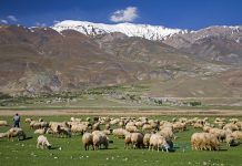 Kayseri Uçak Bileti İle Anadolu’nun Açık Hava Müzesini Gezin Kayseri Uçak Bileti İle Anadolu’nun Açık Hava Müzesini Gezin