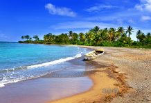 Jamaika Uçak Bileti Alarak Dünyanın Eğlence Merkezine Uçun Jamaika Uçak Bileti Alarak Dünyanın Eğlence Merkezine Uçun