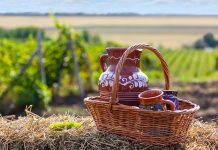 Moldova Uçak Bileti Alarak Avrupa’nın Doğal Cennetine Uçun Moldova Uçak Bileti Alarak Avrupa’nın Doğal Cennetine Uçun