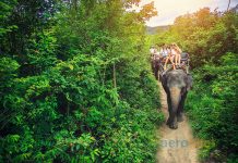 Tayland Uçak Bileti ile Egzotik Bir Cenneti Keşfedin Tayland Uçak Bileti ile Egzotik Bir Cenneti Keşfedin