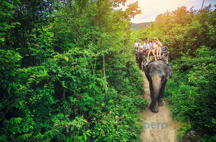 Tayland Uçak Bileti ile Egzotik Bir Cenneti Keşfedin