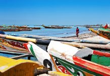 Senegal Uçak Bileti Alarak Beyaz Sahillere ve Afrika Ormanlarına Uçun Senegal Uçak Bileti Alarak Beyaz Sahillere ve Afrika Ormanlarına Uçun