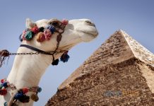 Kahire Uçak Bileti Alarak Antik Dünyada Gizemli Bir Yolculuğa Çıkın Kahire Uçak Bileti Alarak Antik Dünyaya Gizemli Bir Yolculuğa Çıkın