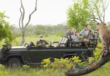 Güney Afrika Uçak Bileti Alarak Vahşi Yaşam Cennetini Keşfe Çıkın Güney Afrika Uçak Bileti Alarak Vahşi Yaşam Cennetini Keşfe Çıkın