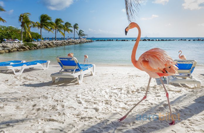 Aruba Uçak Bileti Alarak Tropik Güzelliklerin Tadını Çıkarın