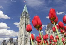 Ottawa Uçak Bileti Alarak Kanada’ya Unutulmaz Bir Yolculuk Yapın Ottawa Uçak Bileti Alarak Kanada'ya Unutulmaz Bir Yolculuk Yapın