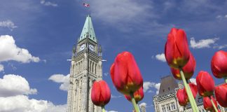 Ottawa Uçak Bileti Alarak Kanada’ya Unutulmaz Bir Yolculuk Yapın Ottawa Uçak Bileti Alarak Kanada'ya Unutulmaz Bir Yolculuk Yapın
