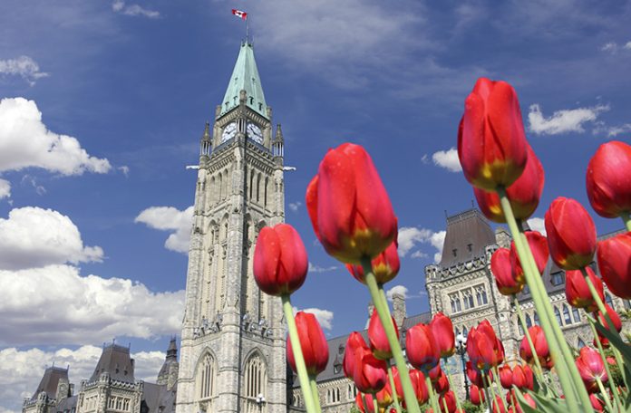 Ottawa Uçak Bileti Alarak Kanada'ya Unutulmaz Bir Yolculuk Yapın