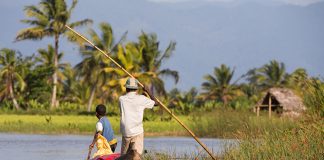 Togo Uçak Bileti Alarak Unutulmaz Bir Afrika Macerası Yaşayın Togo Uçak Bileti Alarak Unutulmaz Bir Afrika Macerası Yaşayın