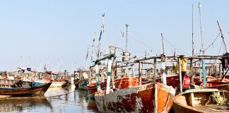 Karaçi Uçak Bileti ile Benzersiz Bir Şehri Keşfe Çıkın Karaçi Uçak Bileti ile Benzersiz Bir Şehri Keşfe Çıkın