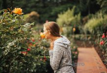 Portland Uçak Bileti ile Amerika’nın Gül Şehrini Gezin Portland Uçak Bileti ile Amerika'nın Gül Şehrini Gezin