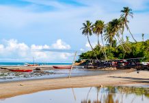 Fortaleza Uçak Bileti ile Brezilya Sahillerinin Tadını Çıkarın Fortaleza Uçak Bileti ile Brezilya Sahillerinin Tadını Çıkarın