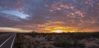 Phoenix Uçak Bileti ile Arizona’ya Unutulmaz Bir Yolculuk Phoenix Uçak Bileti ile Arizona'ya Unutulmaz Bir Yolculuk