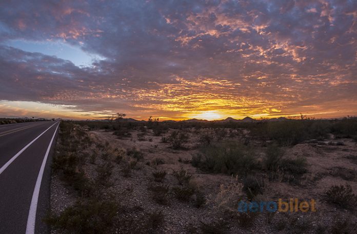 Phoenix Uçak Bileti ile Arizona'ya Unutulmaz Bir Yolculuk