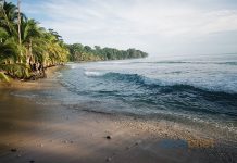 Aerobilet Ayrıcalıklarıyla Tropik Cennetlere Yolculuk Aerobilet Ayrıcalıklarıyla Tropik Cennetlere Yolculuk