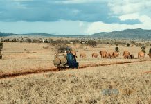 Aerobilet Uçak Bileti ile Afrika’nın Güzelliklerini Keşfedin Aerobilet Uçak Bileti ile Afrika'nın Güzelliklerini Keşfedin