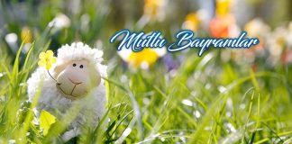 Kurban Bayramı’nız kutlu olsun! Kurban Bayramı’nız kutlu olsun!