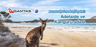 Qantas Airways’den Avustralya’nın keyif şehri Adelaide ve Kanguru Adası’na çok özel fiyatlar Qantas Airways’den Avustralya’nın keyif şehri Adelaide ve Kanguru Adası’na çok özel fiyatlar