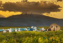 Iğdır Uçak Bileti ile Türkiye’nin Sınır Şehrini Keşfedin Iğdır Uçak Bileti ile Türkiye’nin Sınır Şehrini Keşfedin