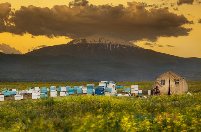 Iğdır Uçak Bileti ile Türkiye’nin Sınır Şehrini Keşfedin