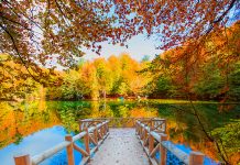 Türkiye’nin En Güzel Sonbahar Manzaraları Türkiye’nin En Güzel Sonbahar Manzaraları