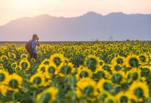 Doğa yürüyüşleri ile Trakya’yı keşfedin Doğa yürüyüşleri ile Trakya’yı keşfedin