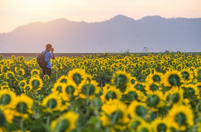 Doğa yürüyüşleri ile Trakya’yı keşfedin
